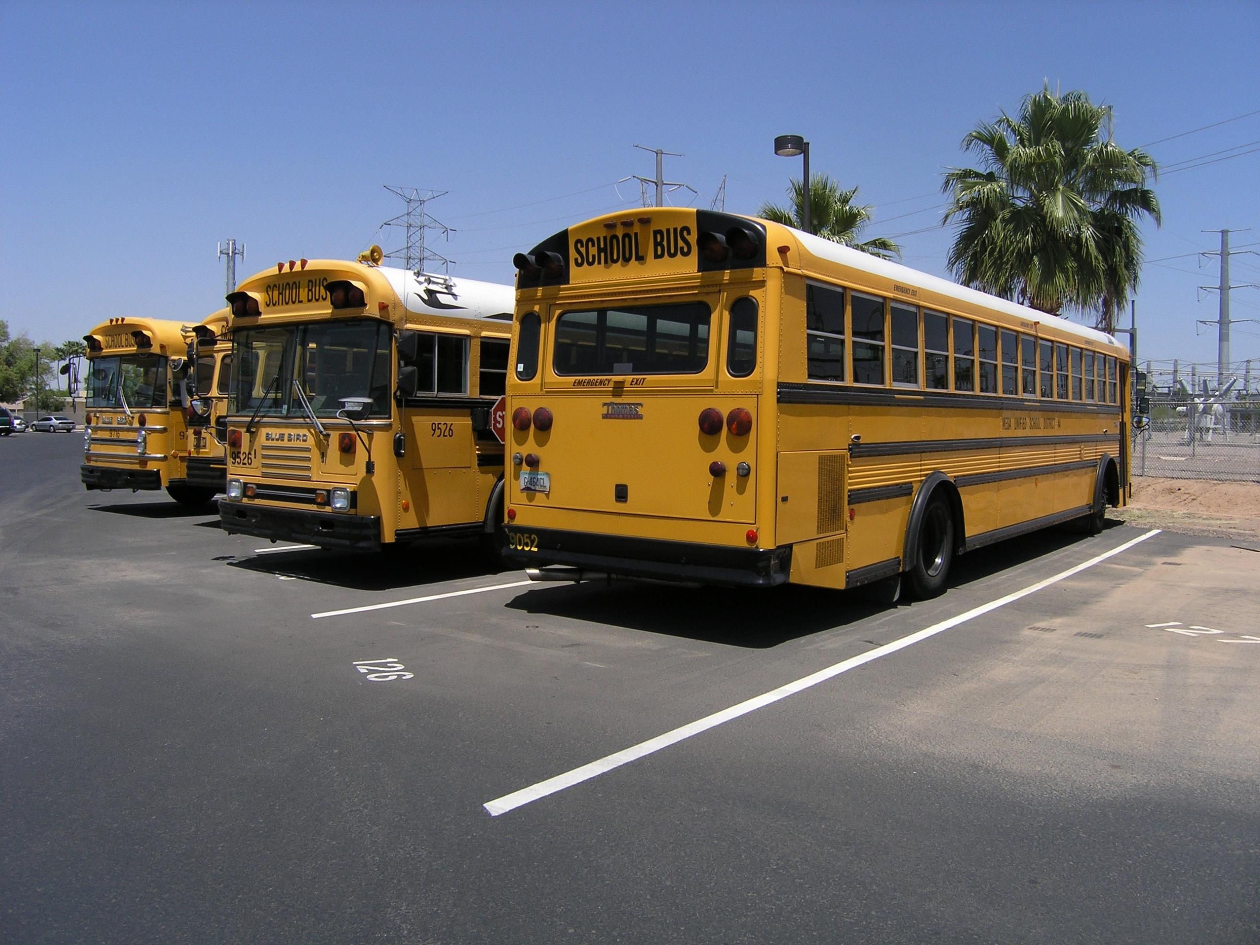 Schoolbussen op parking
