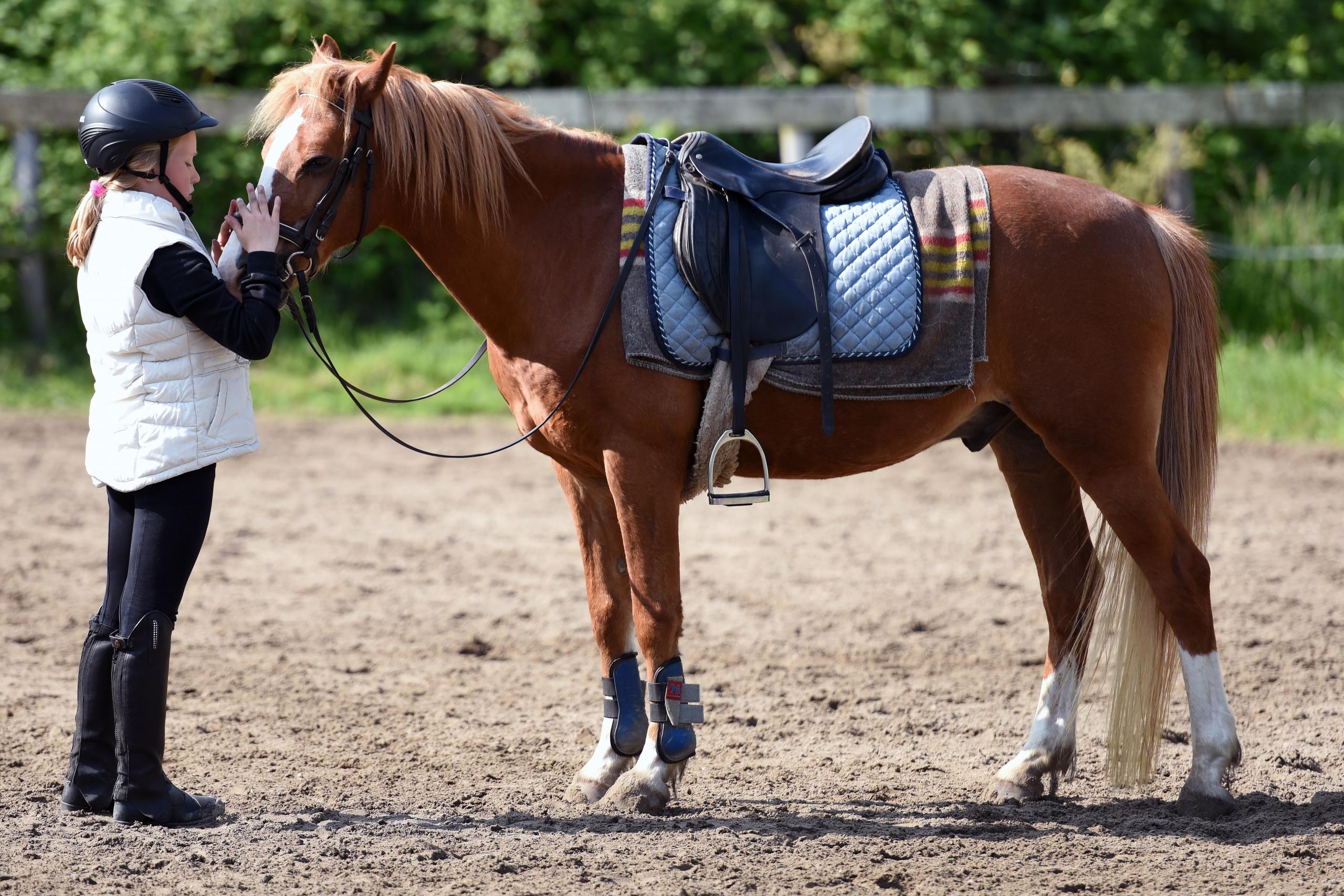 Jong kind staat naast pony 