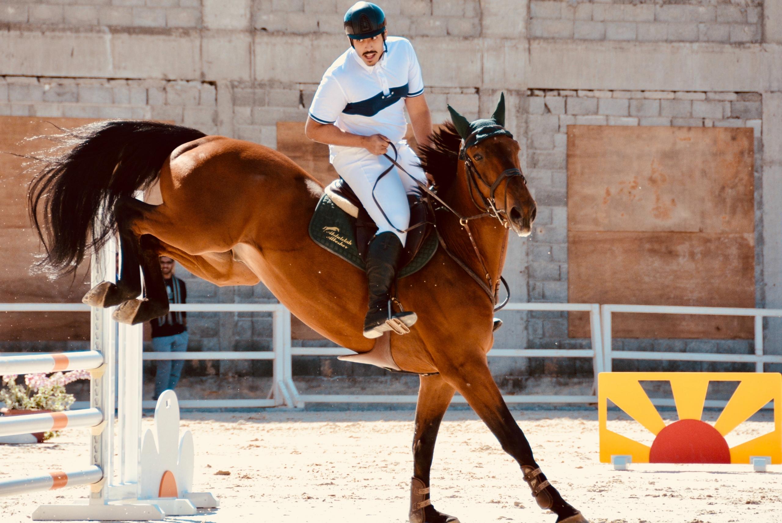 Ruiter op paard