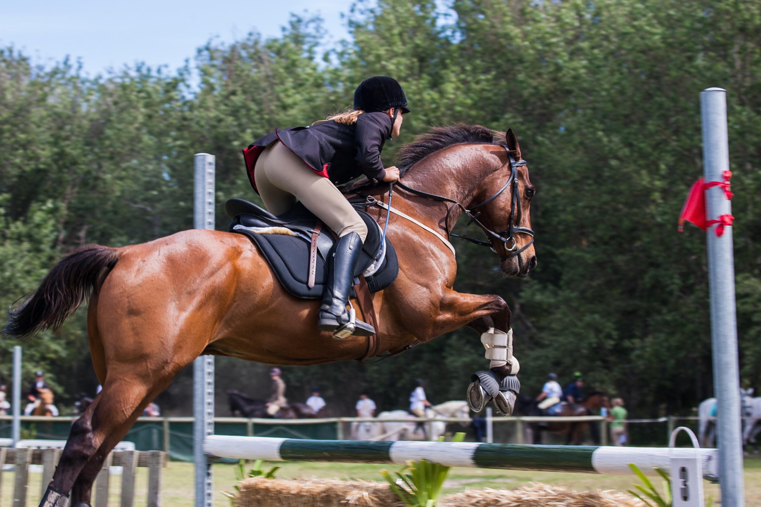 Ruiter springt in jumping wedstrijd