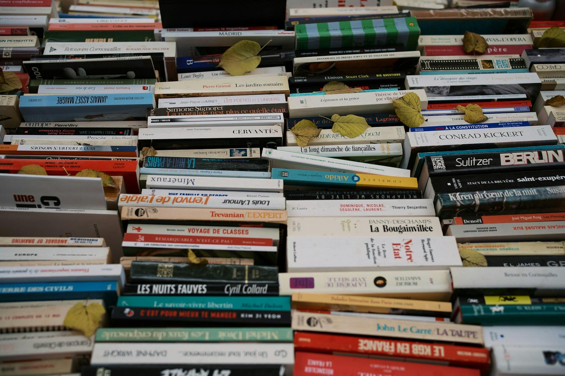 Franse boeken