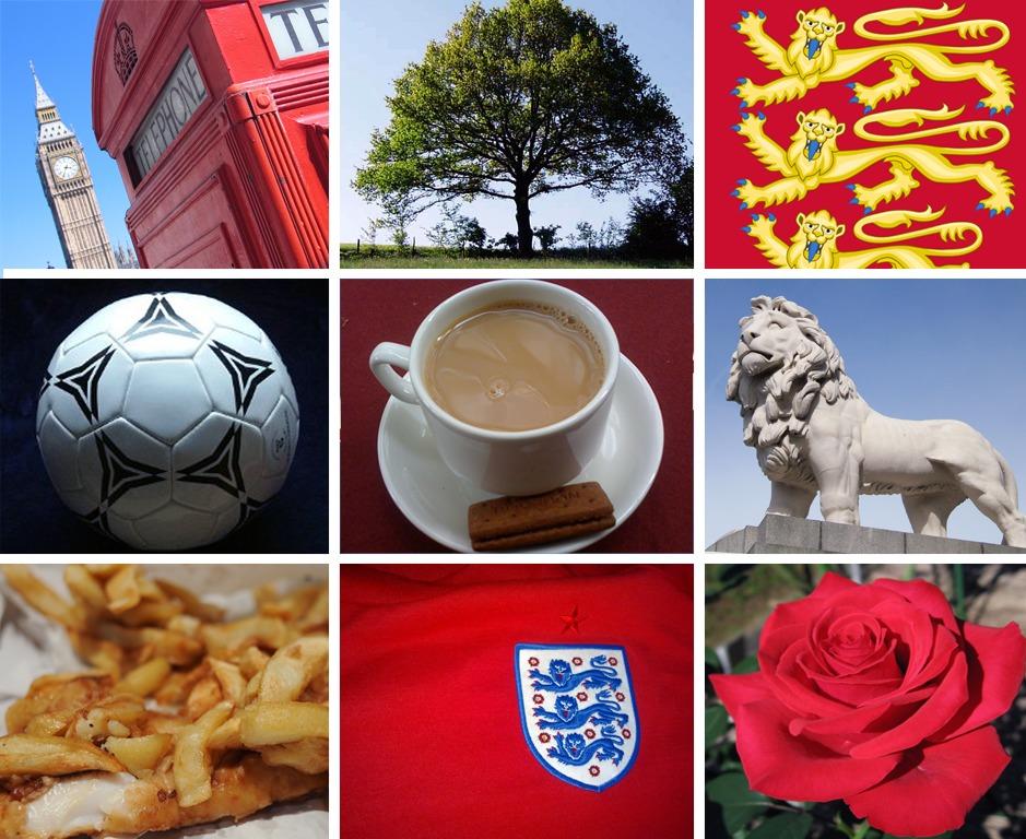 Partir en Angleterre pour découvrir une nouvelle culture.