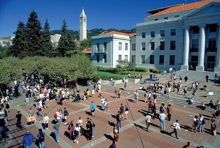 Quels programmes d'été offre l'Université de Berkeley ?