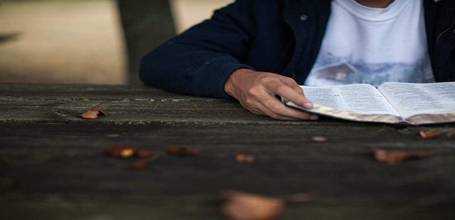 Les différents ouvrages pour apprendre l'arabe.