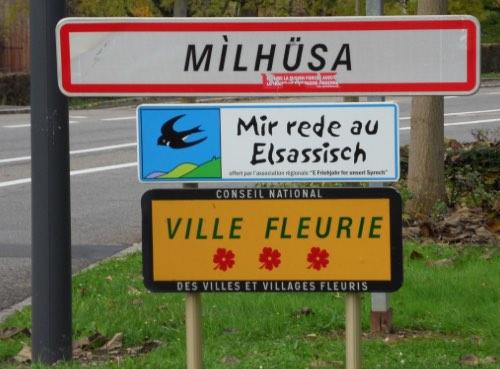 L'alsacien est un dialecte qui provient de l'allemand, langue germanique. 