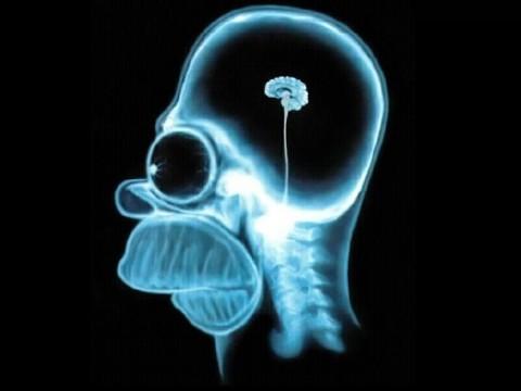 Comment doper son cerveau pour s'améliorer en maths ?