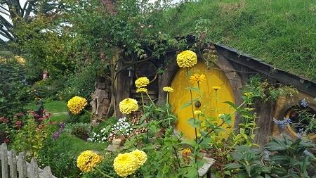 Hobbiton, l'une des meilleures attractions de Nouvelle-Zélande ?