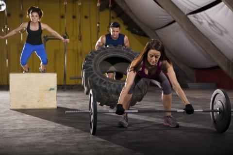 Quels sont les exercices sportifs pour le renforcement musculaire ?