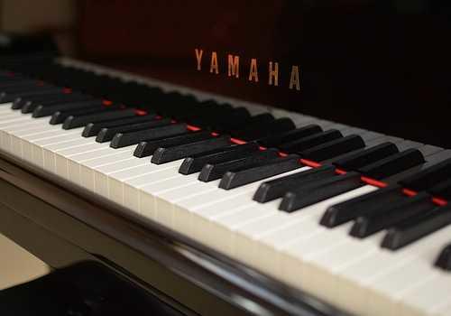 Être accompagné dans son apprentissage musical.