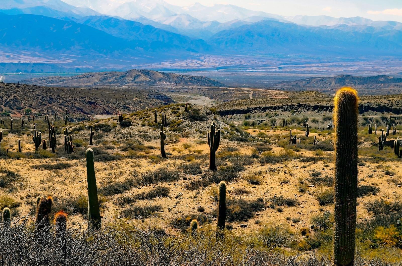 Apprendre l'espagnol dans la Cordillère des Andes, une expérience inoubliable.