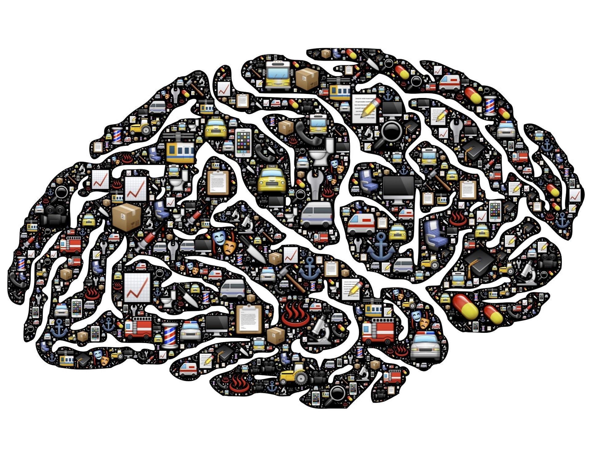 Quels sont les bénéfices de la formation linguistique sur le cerveau ?