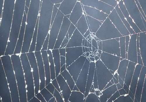 Apprendre la langue du prophète sans payer grâce au web.