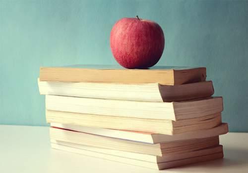 Qui peut donner des cours de langue anglaise ?