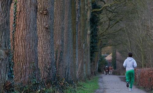 Profitez de votre parc à proximité pour y retrouver votre coach sportif.