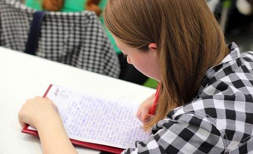 De la primaire aux études supérieures : il existe des professeurs pour tous les niveaux et toutes les matières.