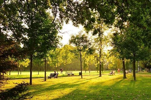 Où pratiquer le running à Paris ?