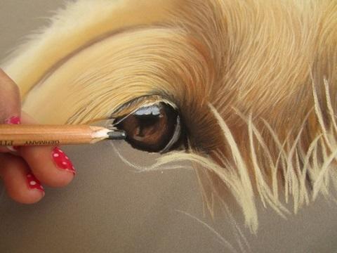 Comment apprendre à dessiner un oeil d'animal en cours de pastel ?