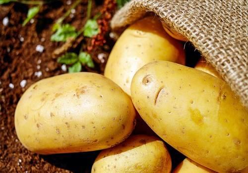 Se mettre à l'agriculture comporte l'avantage de ne pas avoir à acheter de légumes !