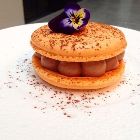 Présentation d'un atelier cuisine macaron avec fleur décorative et cacao en poudre.