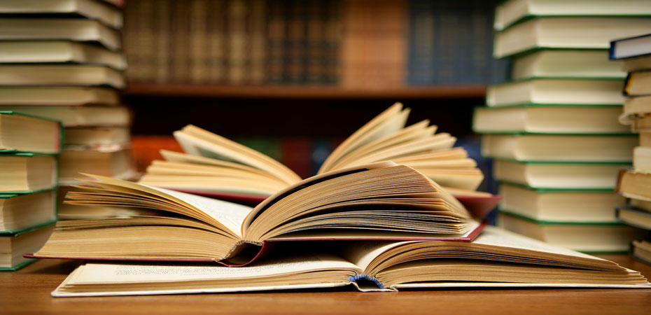 Quels sont les cours dispensés en section littéraire ?