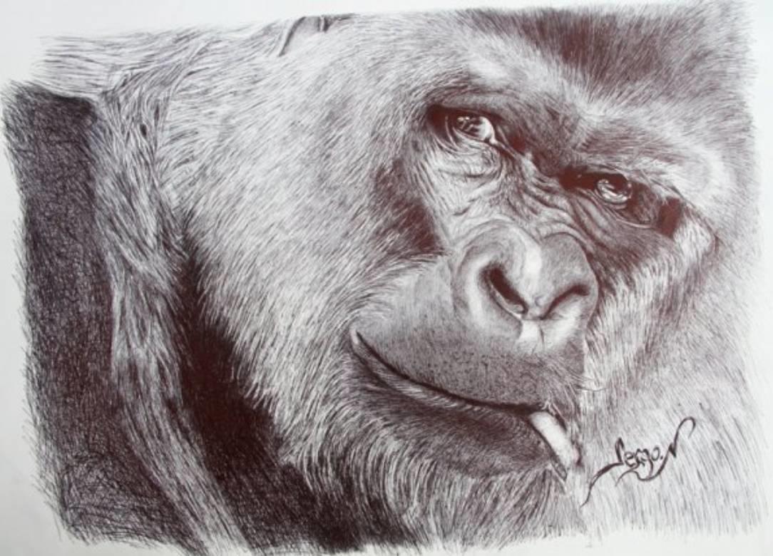Quel est le meilleur site pour apprendre à dessiner ? 