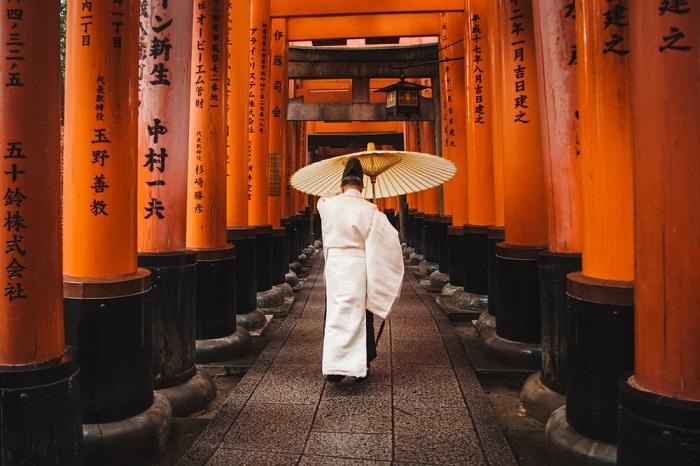 Quel cours choisir pour apprendre le japonais ?