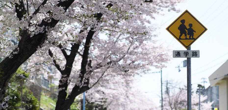 Comment décrocher un job d'enseignant privé de japonais ?