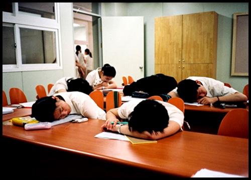 Pourquoi ne pas intégrer aussi des activités sportives en plus des cours particuliers ? 