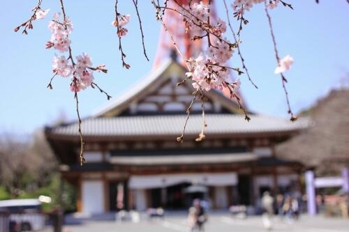 La conjugaison en japonais est très facile pour les natifs de langues latines.