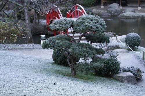 Pourquoi ne pas offrir des cours de japonais pour un anniversaire ? Original et enrichissant !