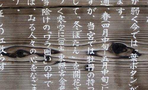 Pourquoi il est plus facile d'apprendre l'écriture du japonais dès le collège ?