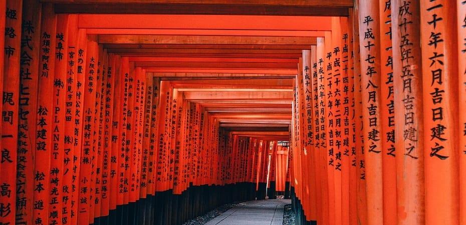 Pourquoi il n'y a pas d'âge pour débuter l'apprentissage du langage nippon ?