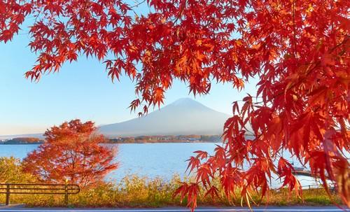 Comment devenir professeur particulier de japonais après un séjour linguistique ?