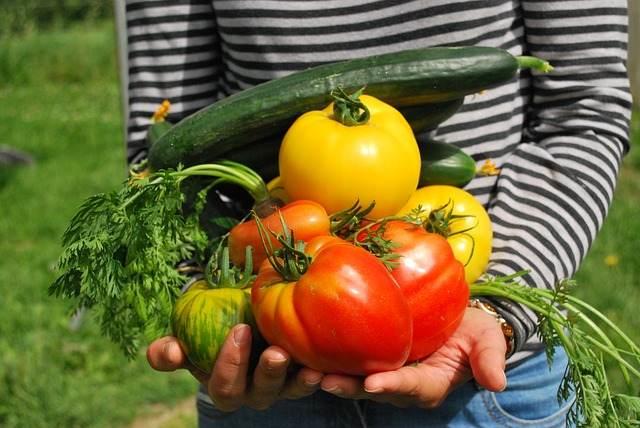 En plus de respecter la planète, vous soignez votre santé en cultivant vos propres légumes.