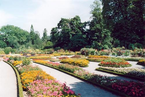 Comment apprendre le chinois quand on est collégien ou lycéen ?