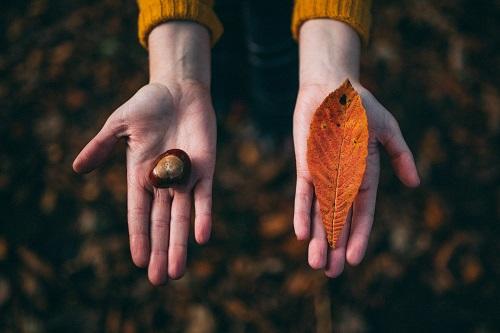 Dessiner une feuille, pas si simple au début !