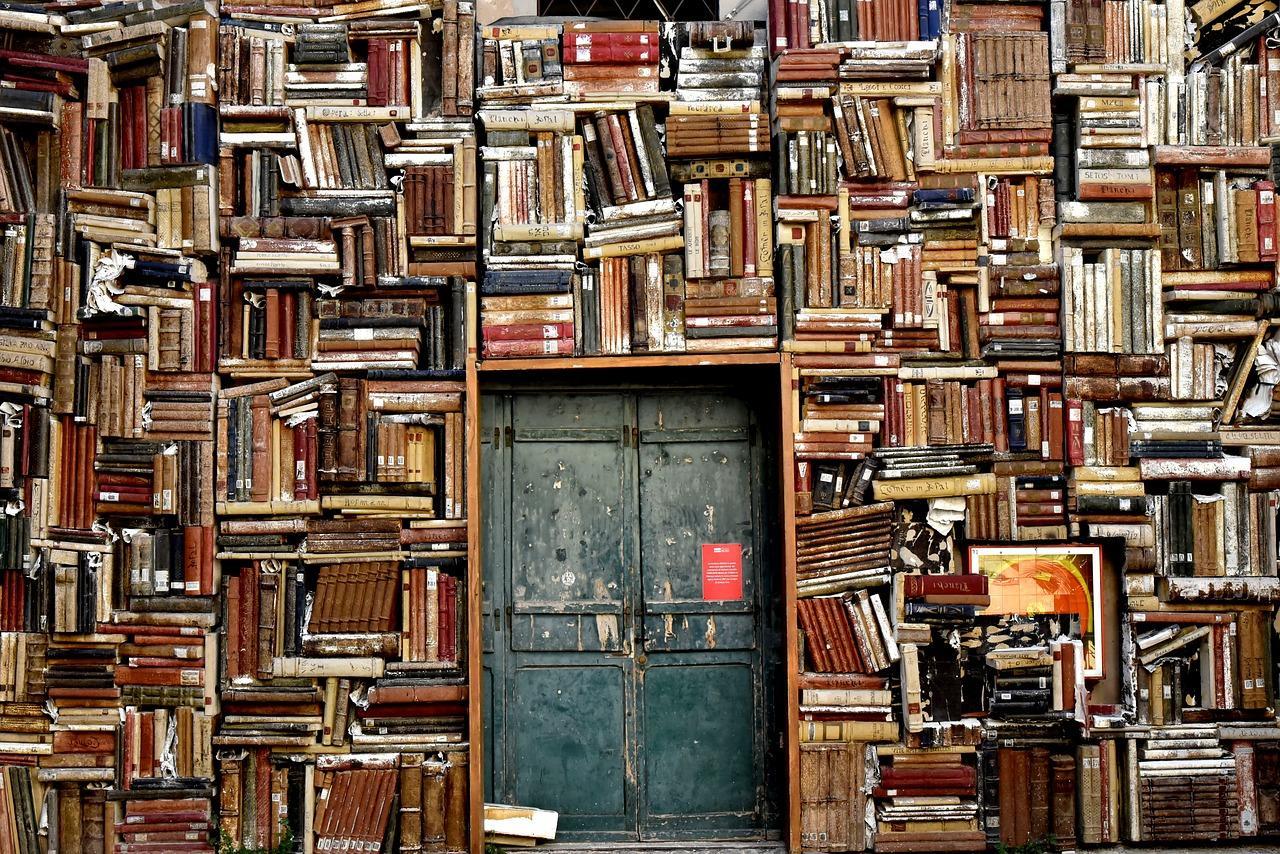 La lecture de la littérature allemande, si riche qu'il n'y aurait presque pas besoin d'un professeur !