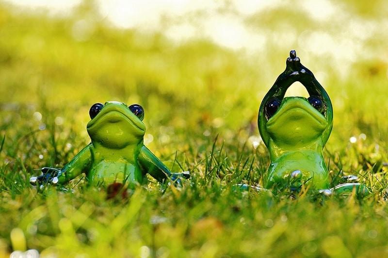 Pourquoi faire du yoga ?