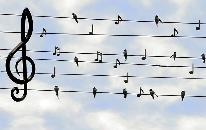 Pourquoi prendre des cours de chant ?