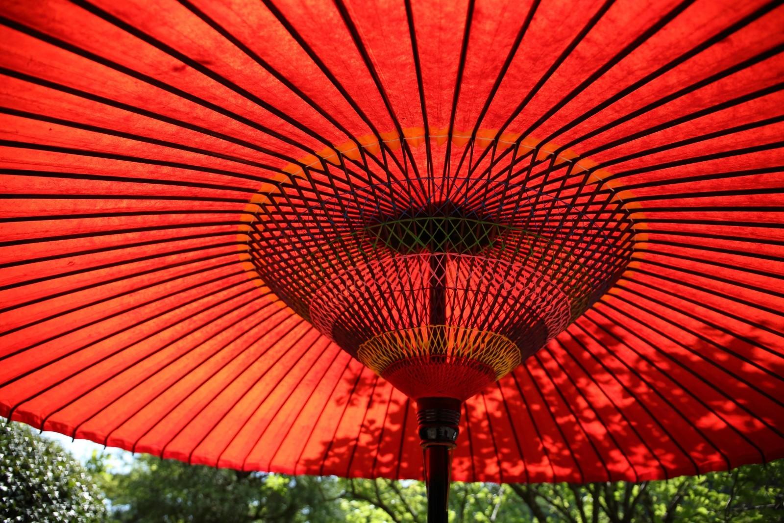 Avec près de 400 syllabes aux sens multipliés par cinq tons en chinois, cette langue extrême-orientale a de quoi fasciner.