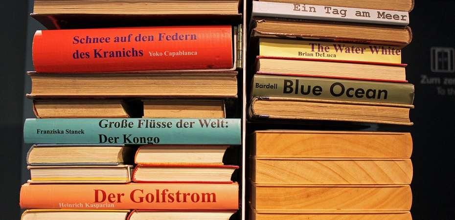 Comment devenir bilingue francais-allemand grâce aux leçons à domicile ?