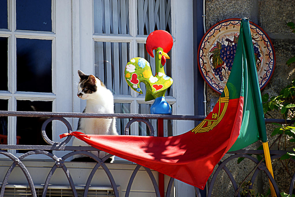 Quels cours en ligne privilégier pour s'initier à la langue portugaise ?