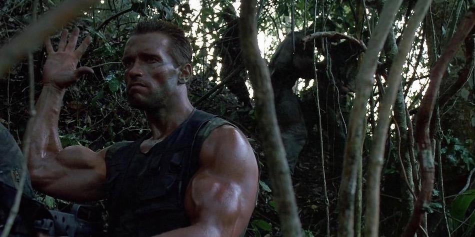 Pourquoi ne pas enchaîner pompes, abdos et travail avec haltères durant votre séance de sport ?