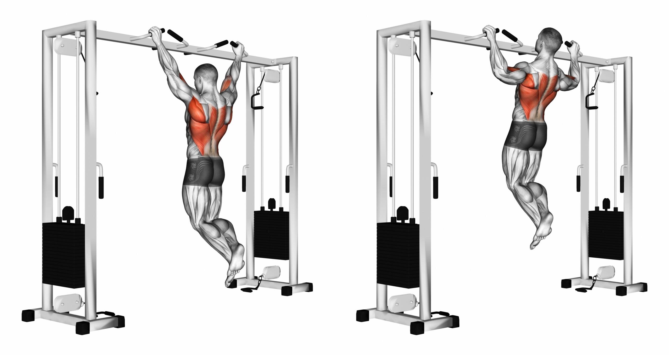 tractions avec barre salle de sport