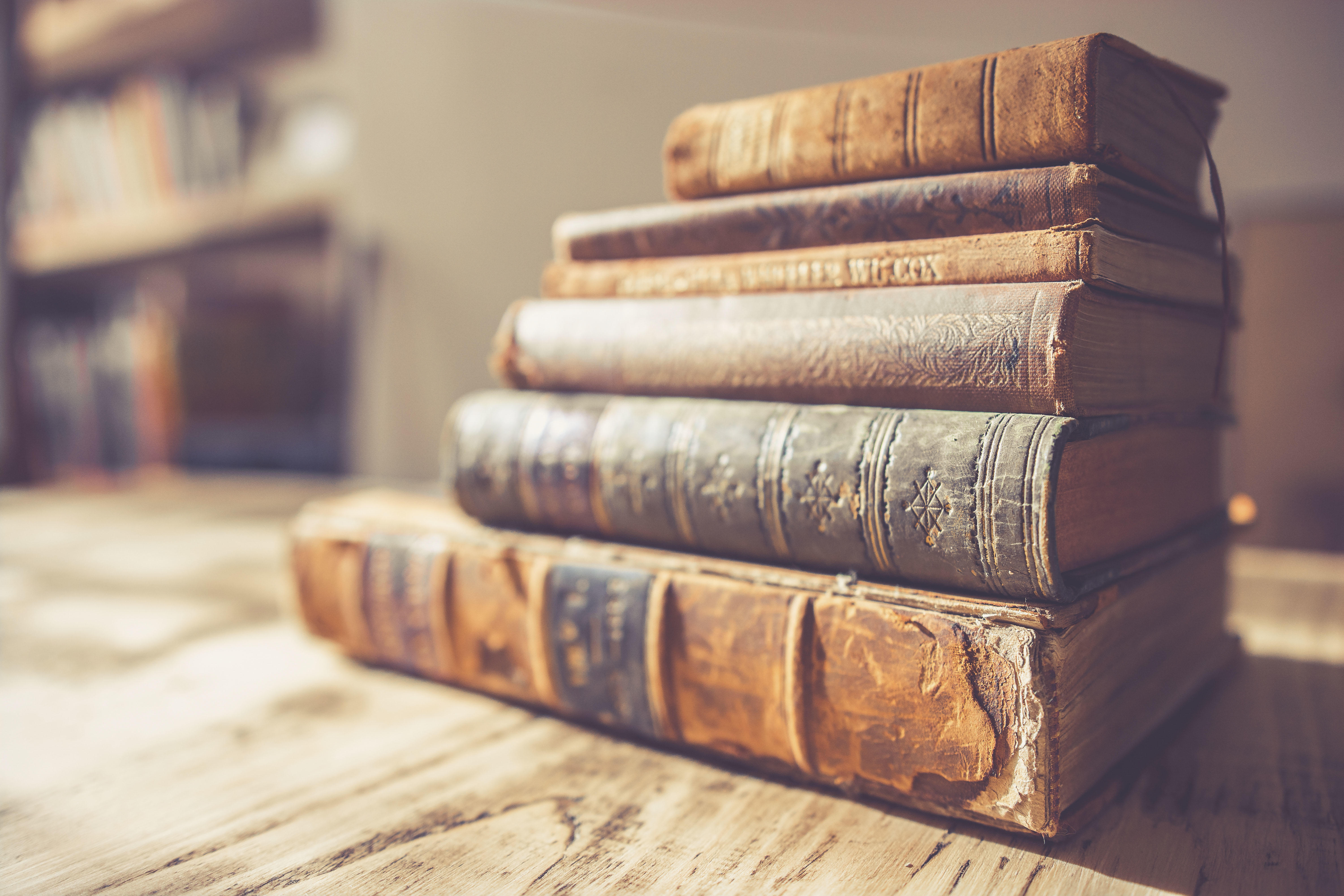 Les langues européennes sont pleines d'argot tonique, et un dictionnaire portugais-français (en CD-ROM) vous sera utile.