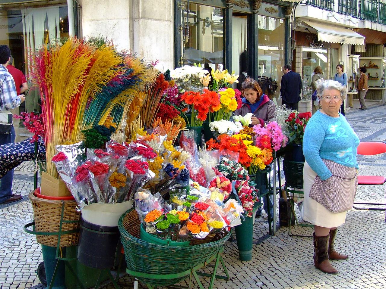 Pour enrichir son vocabulaire en portugais, les fiches ont fait leurs preuves !