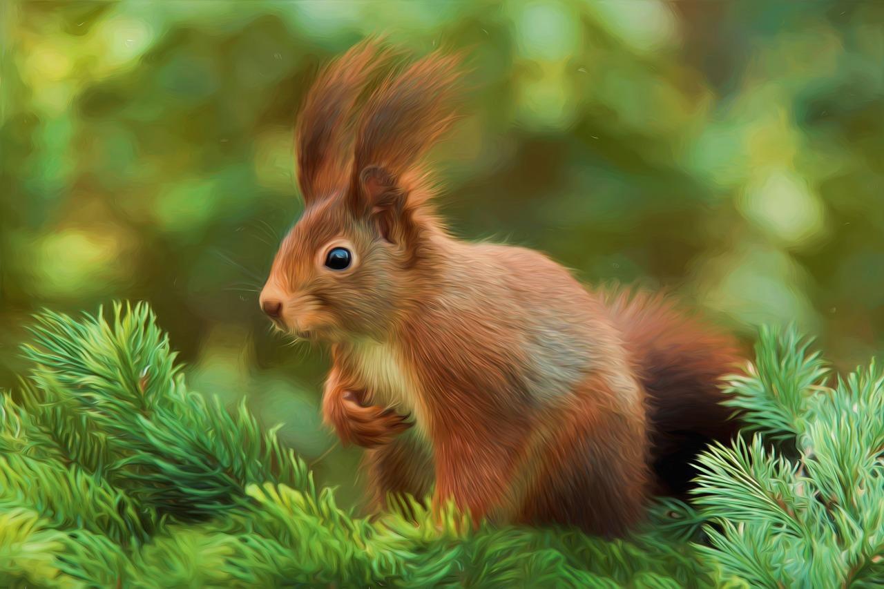Les accessoires de peintures d'origine animale : souple, résistants, aimés par de nombreux peintres.