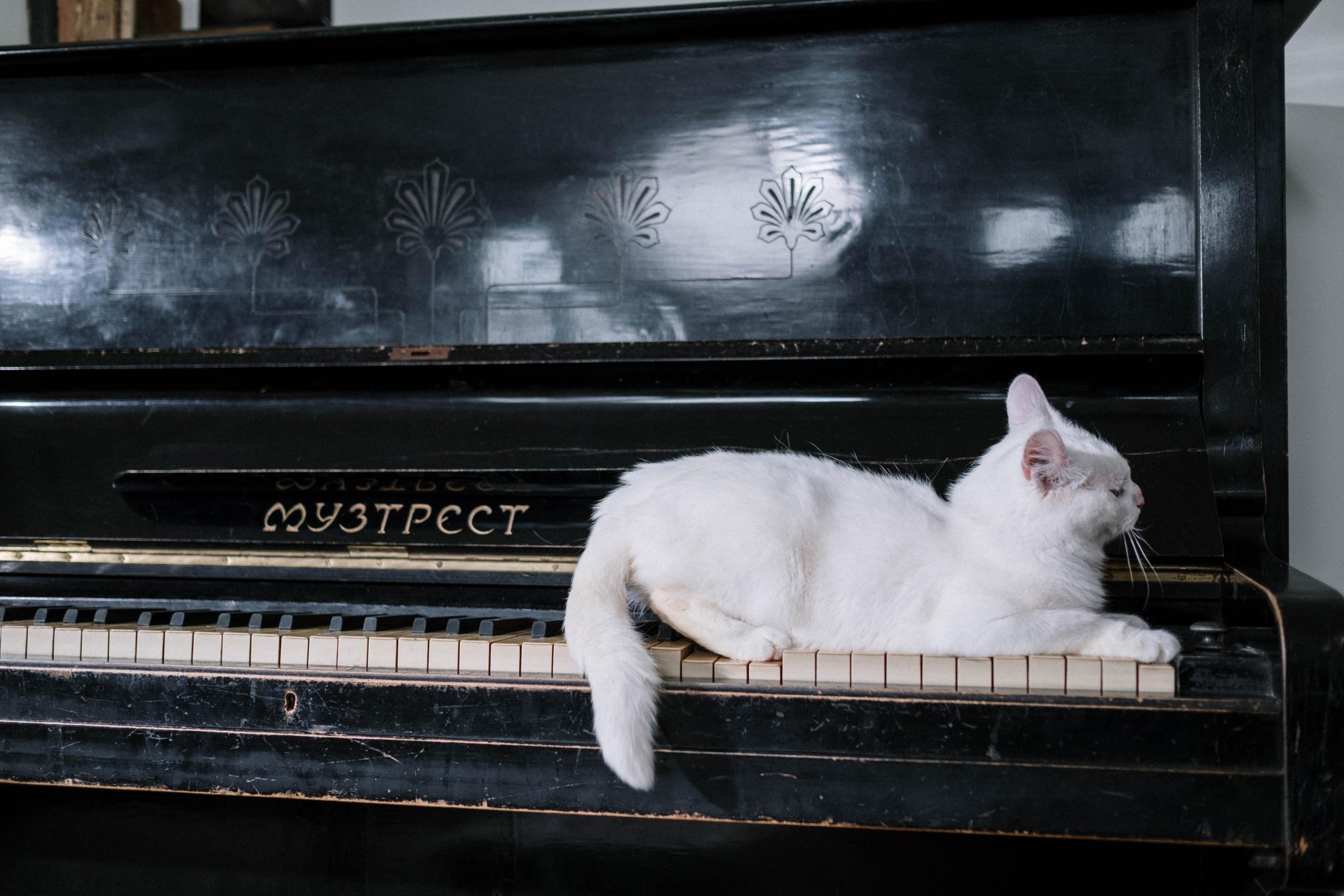 Doit-on maîtriser le solfège pour jouer au piano ?