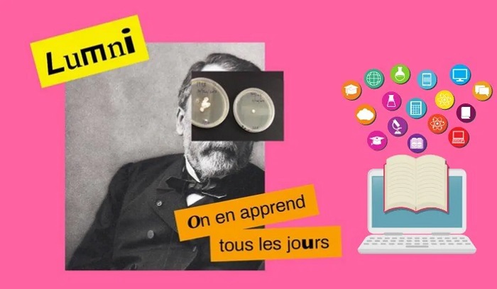 Quelle plateforme utiliser pour apprendre en ligne ? 