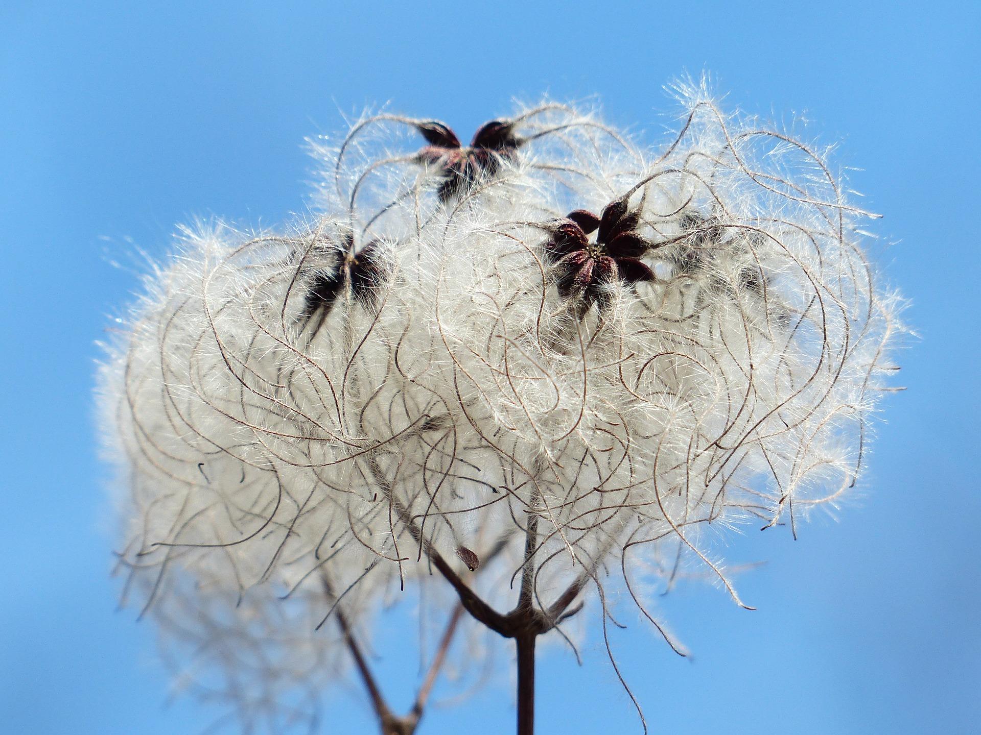 coudre un vêtement en tissu coton : l'écologie attendra !